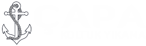 Çapa Koltuk Yıkama